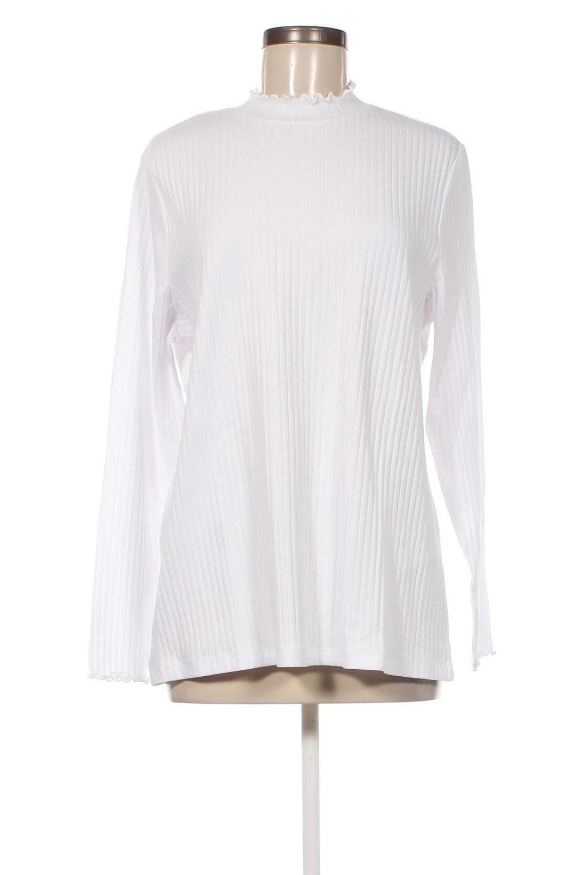 Γυναικεία μπλούζα Anna Field, Μέγεθος 3XL, Χρώμα Λευκό, Τιμή 9,27 €