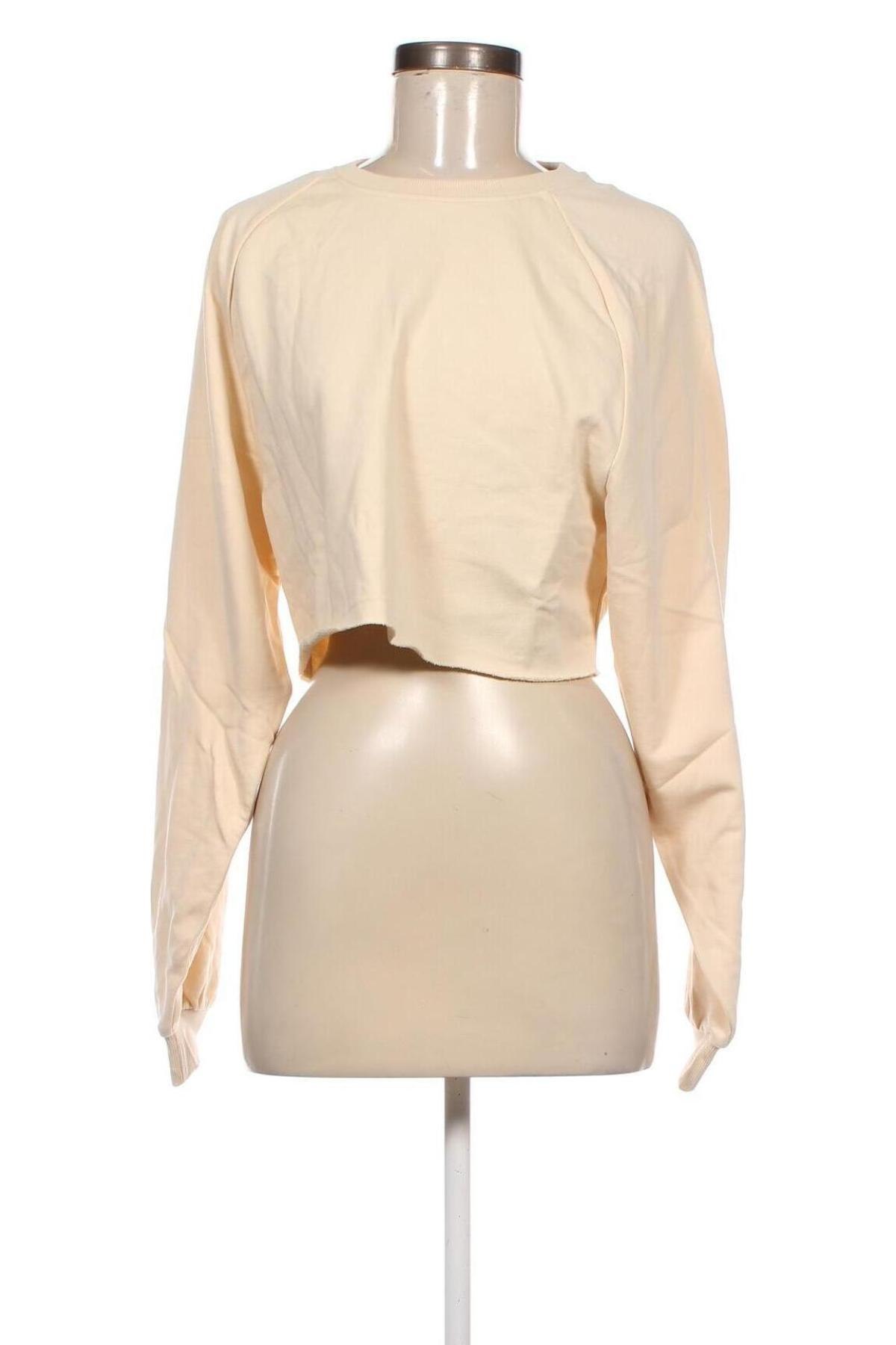 Damen Shirt Jennyfer, Größe M, Farbe Ecru, Preis 6,71 €