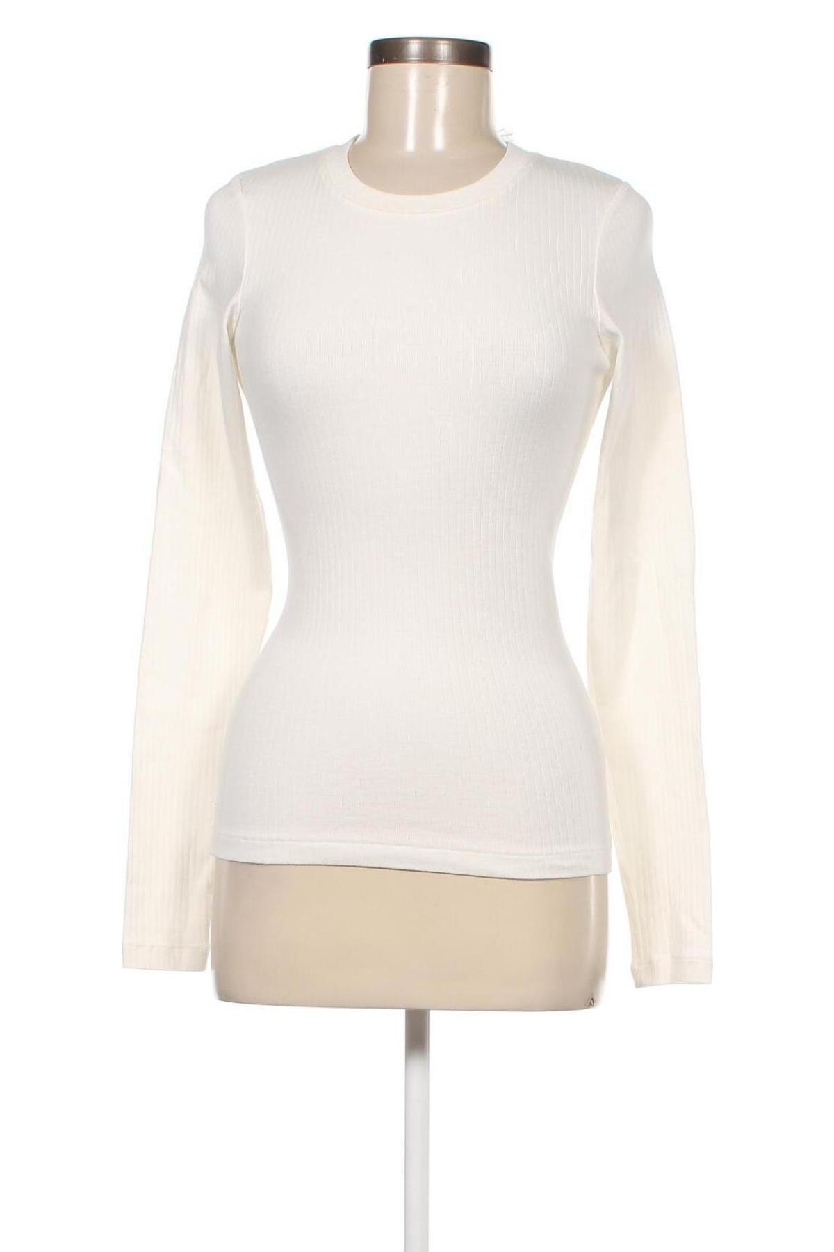 Damen Shirt Kings of Indigo, Größe XS, Farbe Weiß, Preis € 19,48