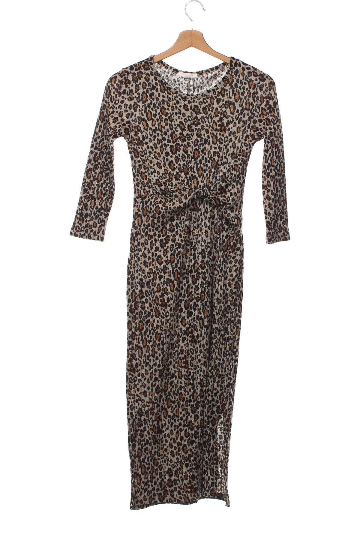 Kleid Springfield, Größe XS, Farbe Mehrfarbig, Preis 8,35 €