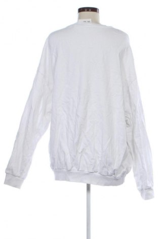 Damen Shirt ASOS, Größe XL, Farbe Weiß, Preis 23,99 €