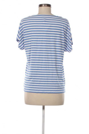 Damen Shirt Betty Barclay, Größe M, Farbe Mehrfarbig, Preis 28,99 €