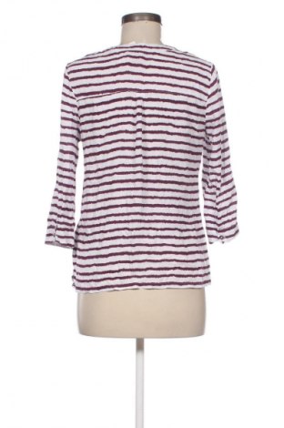 Bluzka damska Bexleys, Rozmiar M, Kolor Kolorowy, Cena 111,99 zł