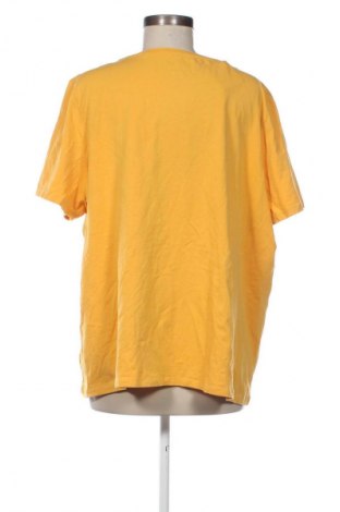 Damen Shirt Canda, Größe 3XL, Farbe Gelb, Preis 13,99 €