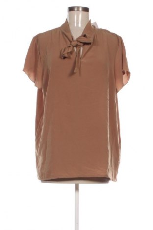 Damen Shirt Collection, Größe XL, Farbe Braun, Preis 13,99 €