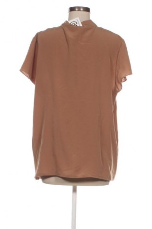Damen Shirt Collection, Größe XL, Farbe Braun, Preis 13,99 €