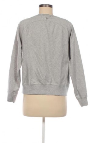 Damen Shirt Diesel, Größe S, Farbe Grau, Preis 44,99 €