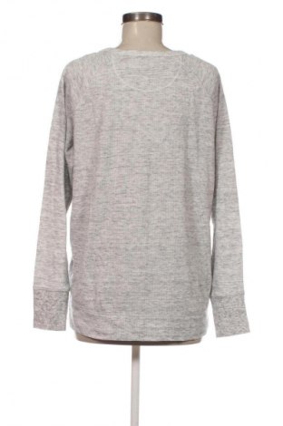 Damen Shirt Eddie Bauer, Größe L, Farbe Grau, Preis € 33,99
