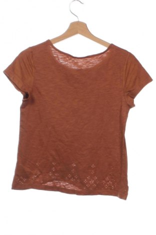 Damen Shirt Esmara, Größe XS, Farbe Braun, Preis € 13,99