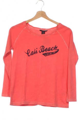 Damen Shirt Gant, Größe XXS, Farbe Orange, Preis € 41,94