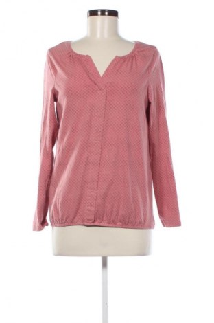 Damen Shirt Gina Benotti, Größe S, Farbe Mehrfarbig, Preis € 10,00