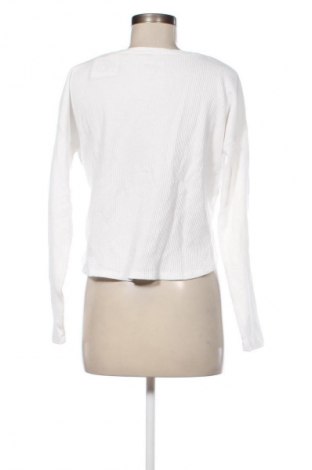 Damen Shirt Hollister, Größe S, Farbe Weiß, Preis € 10,99