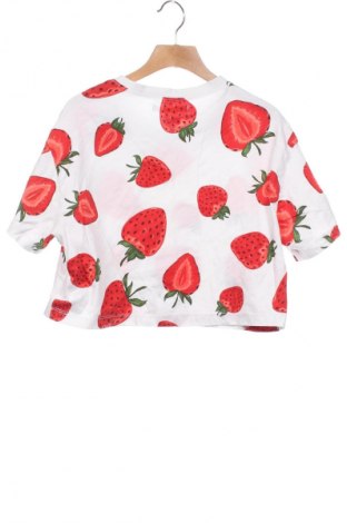 Damen Shirt House, Größe XS, Farbe Mehrfarbig, Preis 9,62 €