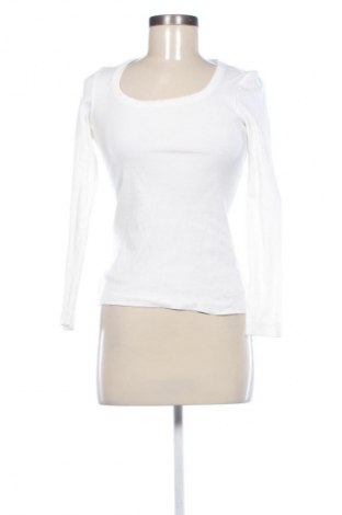Damen Shirt S.Oliver, Größe S, Farbe Ecru, Preis € 46,65
