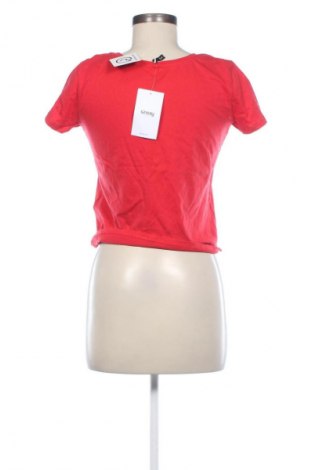 Damen Shirt Sinsay, Größe S, Farbe Rot, Preis € 15,97