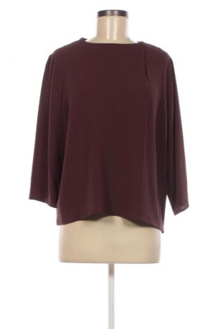 Damen Shirt Studio, Größe M, Farbe Braun, Preis 9,79 €