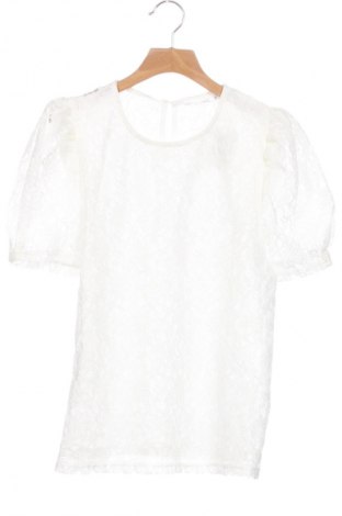 Damen Shirt Terranova, Größe XS, Farbe Weiß, Preis 13,99 €