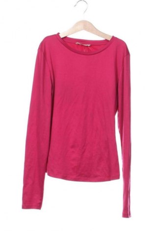 Bluzka damska Terranova, Rozmiar XS, Kolor Różowy, Cena 24,99 zł