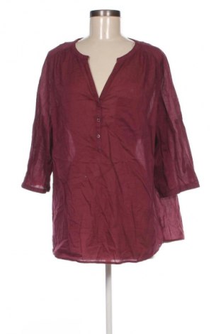 Damen Shirt Yessica, Größe XL, Farbe Lila, Preis 13,99 €