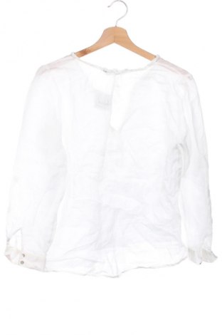 Damen Shirt Zara, Größe XS, Farbe Weiß, Preis 13,81 €