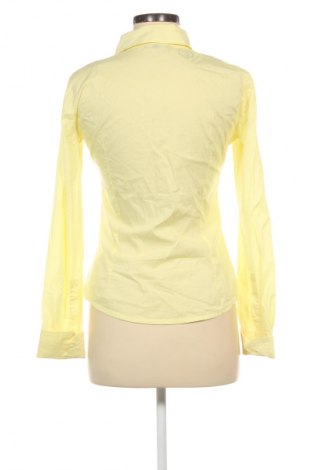 Damenbluse Denny Rose, Größe M, Farbe Gelb, Preis 16,99 €