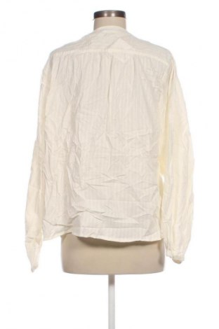 Damenbluse Esmara, Größe XL, Farbe Ecru, Preis € 7,99