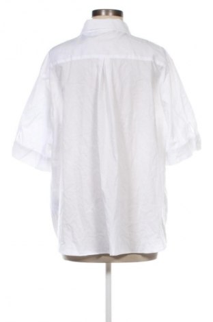 Damenbluse Eterna, Größe XXL, Farbe Weiß, Preis 33,99 €