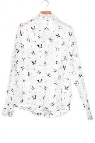 Damenbluse Fb Sister, Größe XS, Farbe Mehrfarbig, Preis € 12,79