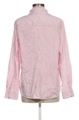 Damenbluse H&M, Größe XL, Farbe Mehrfarbig, Preis 17,99 €