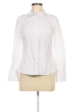 Damenbluse Hallhuber, Größe S, Farbe Weiß, Preis 37,99 €