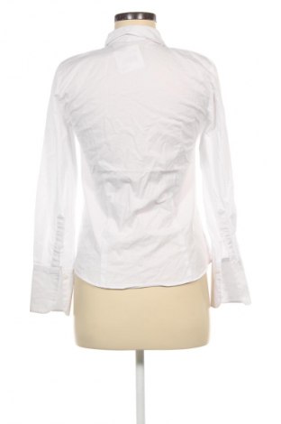 Damenbluse Hallhuber, Größe S, Farbe Weiß, Preis 37,99 €
