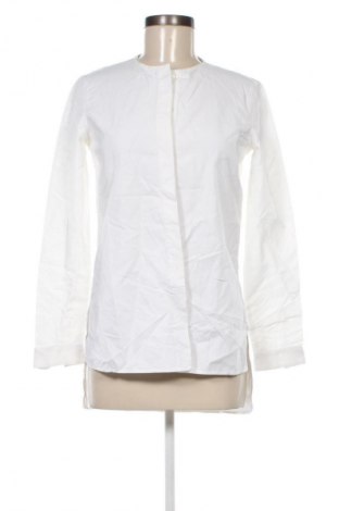 Damenbluse Massimo Dutti, Größe S, Farbe Weiß, Preis € 38,99