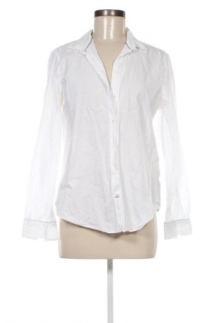 Damenbluse Massimo Dutti, Größe L, Farbe Weiß, Preis 28,07 €