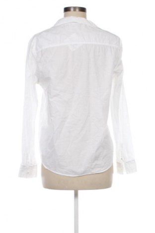 Damenbluse Massimo Dutti, Größe L, Farbe Weiß, Preis 28,07 €