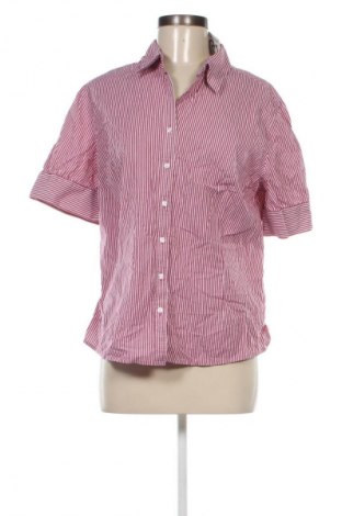 Damenbluse Merona, Größe XXL, Farbe Mehrfarbig, Preis € 17,99