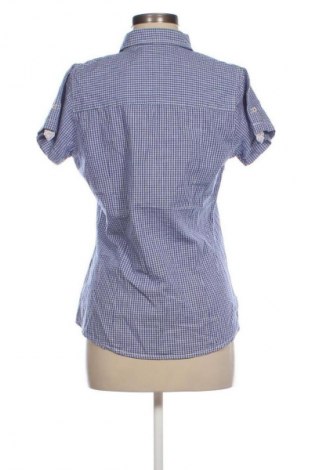 Damenbluse Multiblu, Größe S, Farbe Mehrfarbig, Preis € 17,99