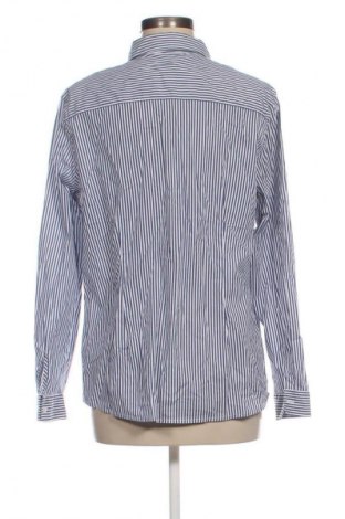 Damenbluse Peter Hahn, Größe XL, Farbe Mehrfarbig, Preis 37,99 €