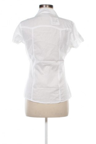 Damenbluse Tally Weijl, Größe M, Farbe Weiß, Preis € 13,00
