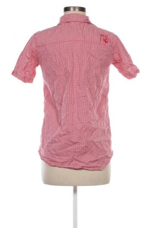 Damenbluse Target, Größe XL, Farbe Mehrfarbig, Preis € 12,83