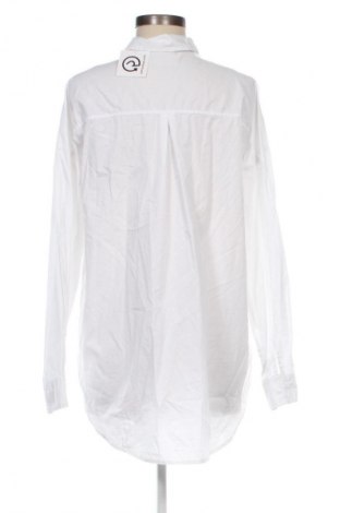 Damenbluse Terranova, Größe M, Farbe Weiß, Preis € 12,79