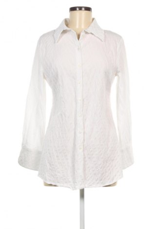Damenbluse Touche Prive, Größe L, Farbe Weiß, Preis 20,97 €