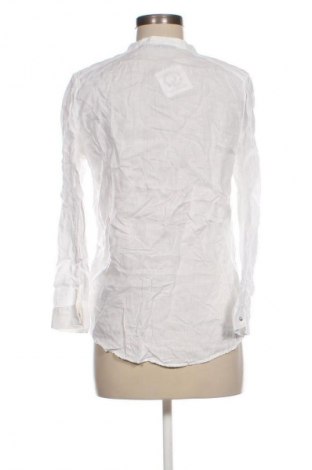 Damenbluse Zara, Größe M, Farbe Weiß, Preis € 18,99