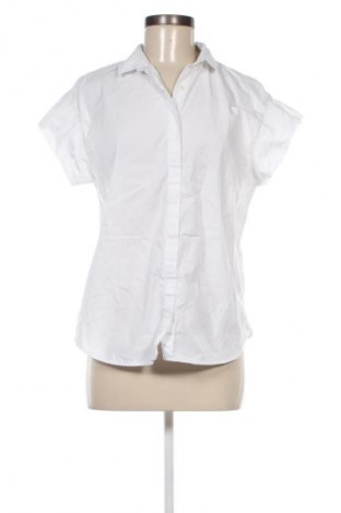 Damenbluse Zara, Größe M, Farbe Weiß, Preis € 13,81