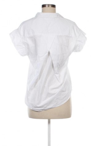 Damenbluse Zara, Größe M, Farbe Weiß, Preis € 13,81