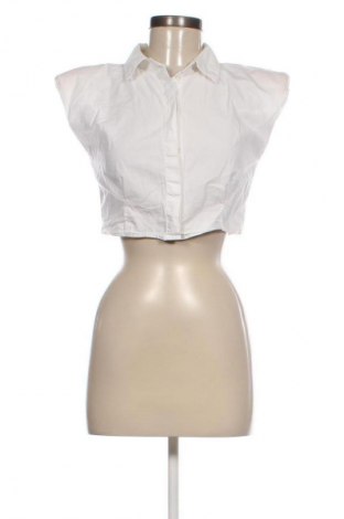 Damenbluse Zara, Größe S, Farbe Weiß, Preis 13,80 €