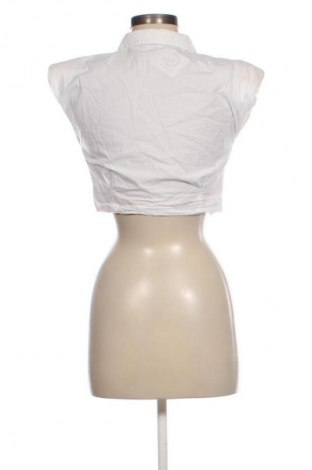 Damenbluse Zara, Größe S, Farbe Weiß, Preis 13,80 €