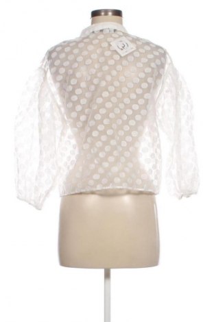 Damenbluse Zara, Größe M, Farbe Mehrfarbig, Preis € 18,99