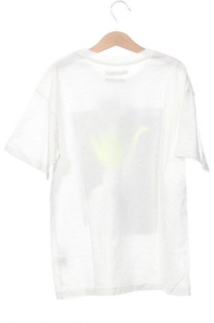 Damen T-Shirt Pull&Bear, Größe XS, Farbe Weiß, Preis 8,68 €