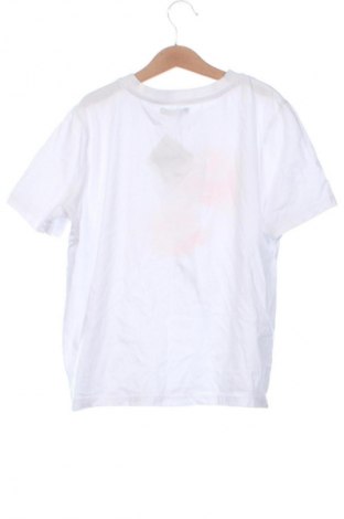 Damen T-Shirt Sinsay, Größe XS, Farbe Weiß, Preis 8,70 €