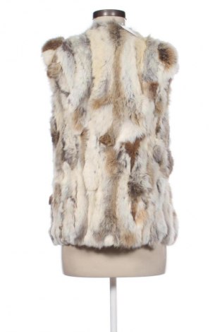 Vestă de femei Minimum, Mărime S, Culoare Multicolor, Preț 107,12 Lei